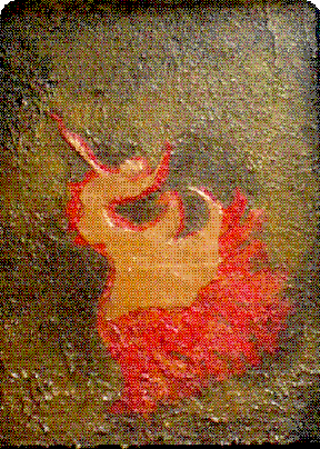 �������. ���������� ���. Krasnij tanez