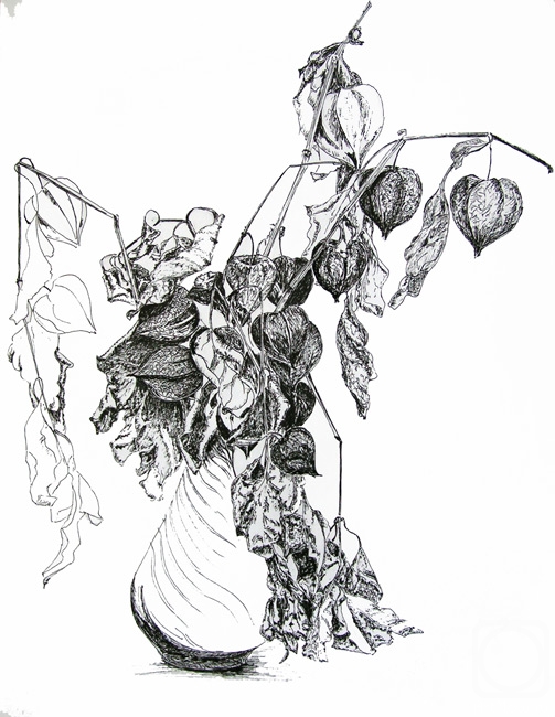 �������. ������ ���������. ��������� � ���������