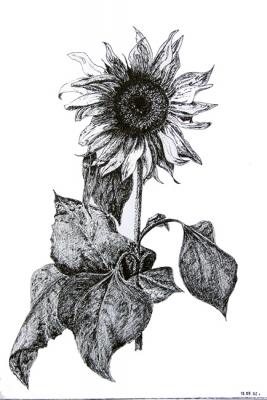 ������� �������� ����������