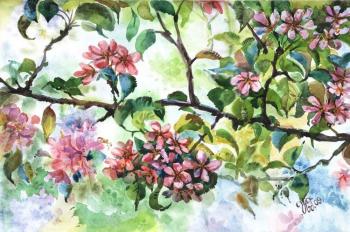 Apple-tree flowers