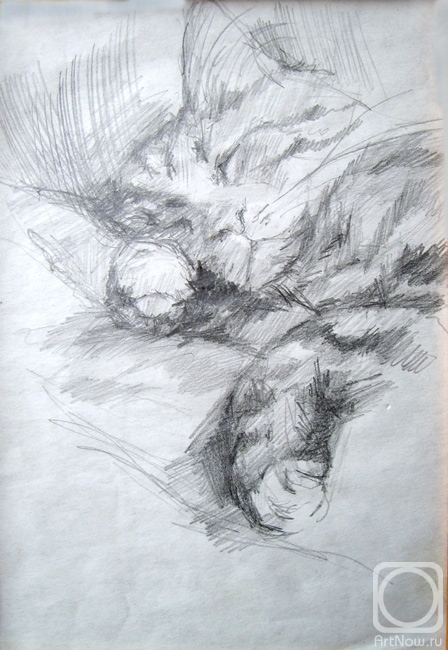 �������. ��������� ������. �����