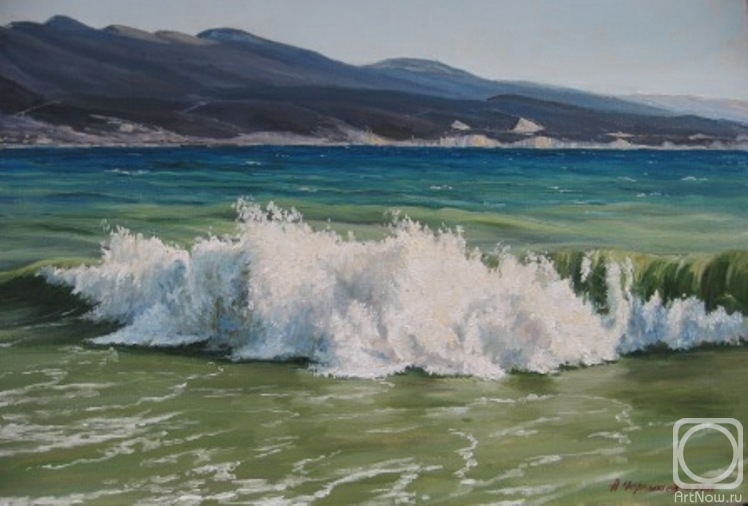 Chernyshev Andrei. Wave, surf in the bay