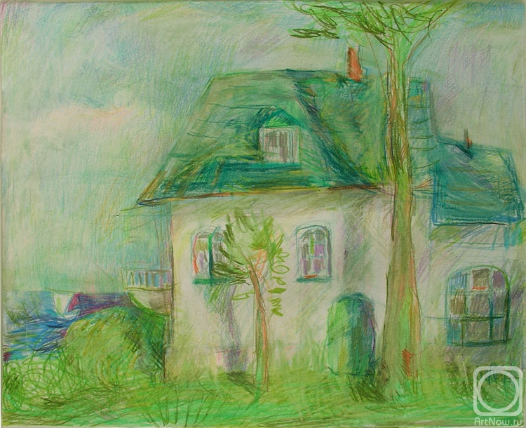 Krupennikov Egor. Home and air