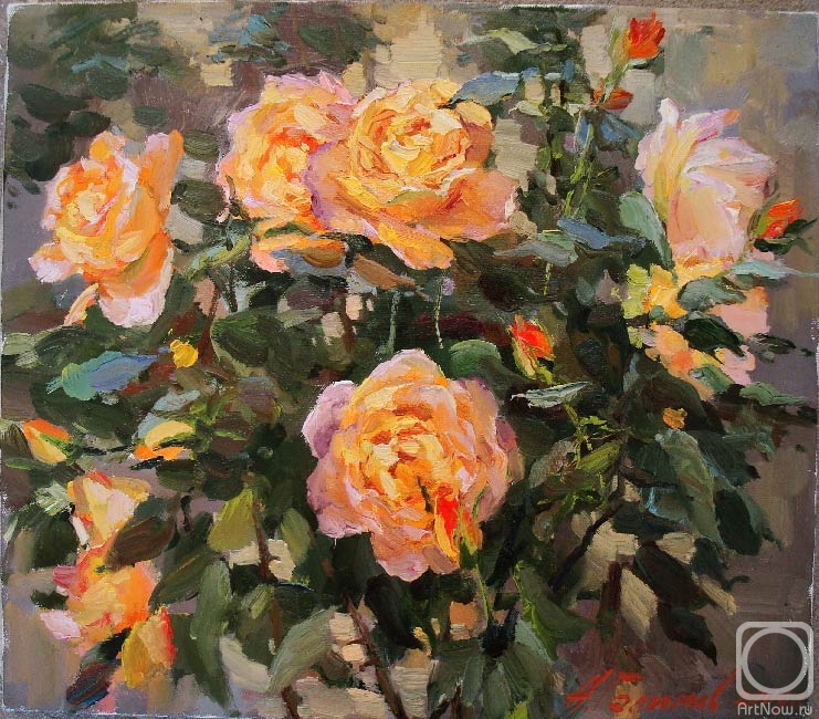 Galimov Azat. Tea roses