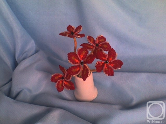 ������� ���������. ������ ��� ��������