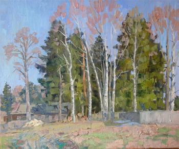 ������� ���������� ����