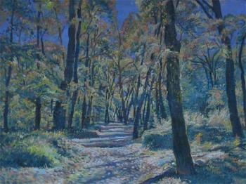 ������� ������, ���������� �������