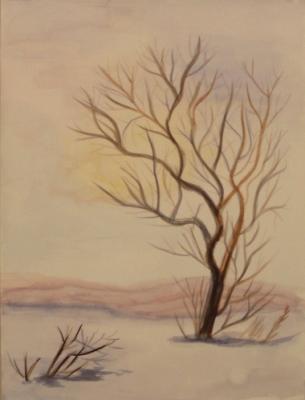 Copy 67 (winter landscape with wood). Lukaneva Larissa