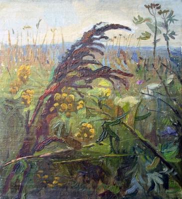 Grass. Yudaev-Racei Yuri