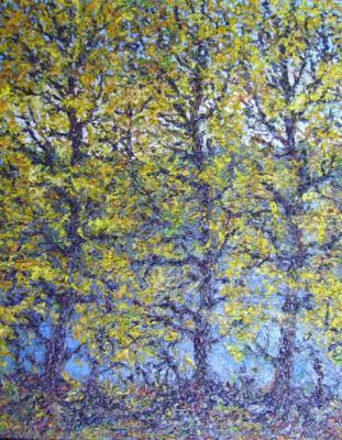 Trees by the river, autumn