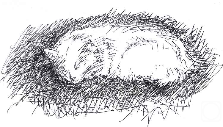 �������. �������� ������. ����