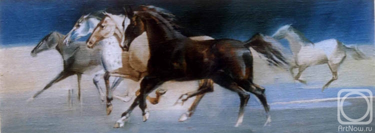 Voronova Oksana. horses canter / gallop