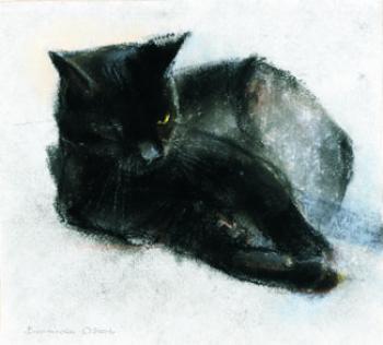 Cat (Bosya). Voronova Oksana