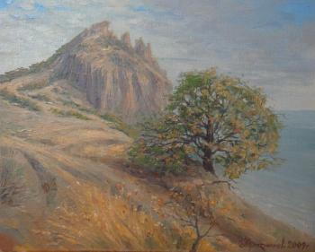 ������� �������. �������