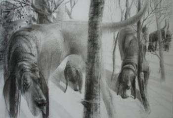 ������� ������ ������. ����������. �����