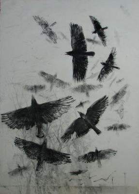 Much rooks. Late autumn