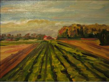 ����������� ����. ���������� �����