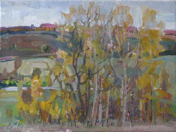 ������� ���������