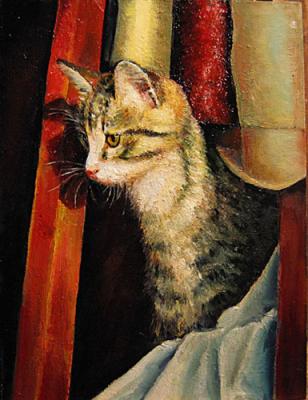 the curious kitten. Kyrzanov Evgeny