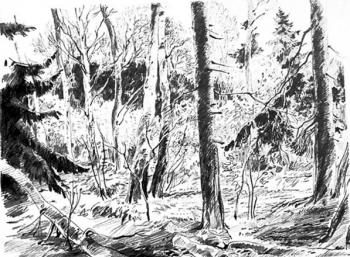 Collection of drawings 1-42/91