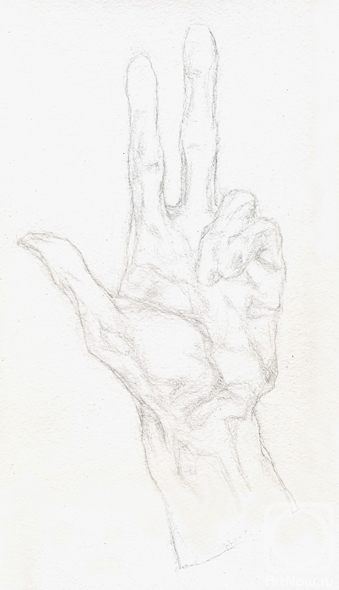 Fayvisovich Aleksandr. O.Rodin "Hand" (Study-4)