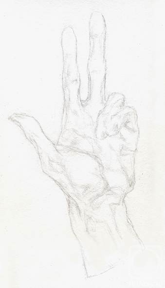 �������. ���������� ���������. ���� ������ (4)