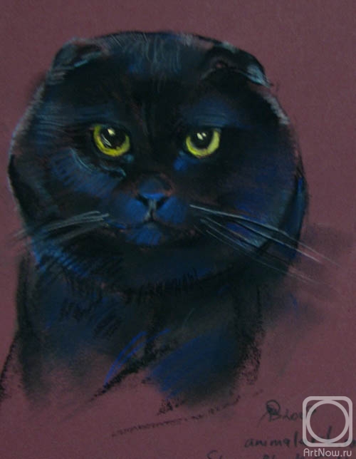 �������. �������� ������. ���� (Stoun Black Gold) ������� ����