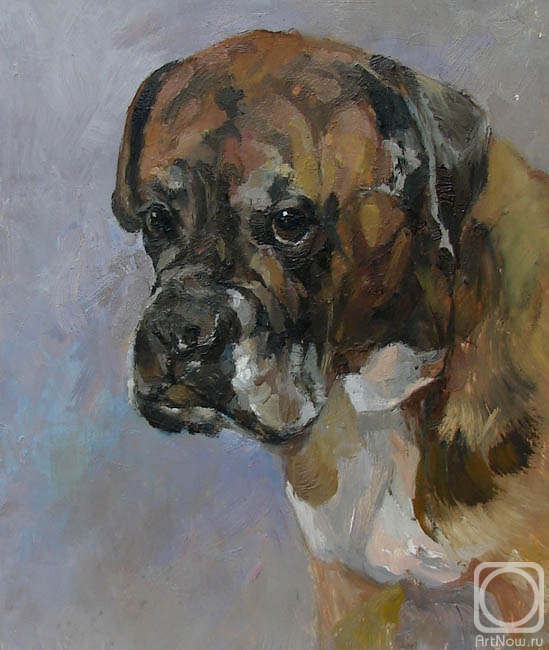 �������. �������� ������. ����