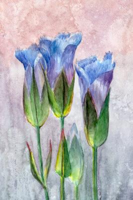 ������� ������������� � ����