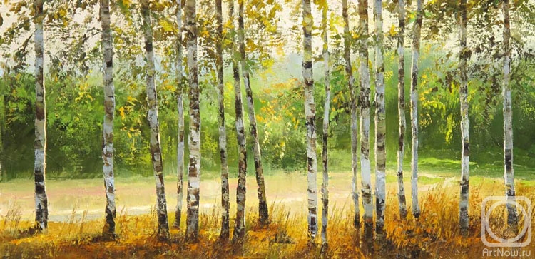 Popova Irina. Young birches