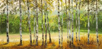 Young birches. Popova Irina