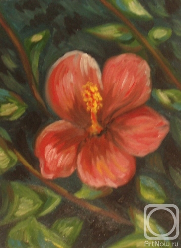 ������� ������ �� ������. �������� ������. ����� 84 (������������ ������)