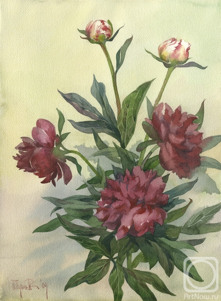 �������. ������� �����. �����