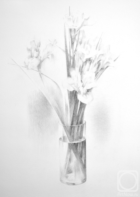 �������. ���������� ���������. �����. �����