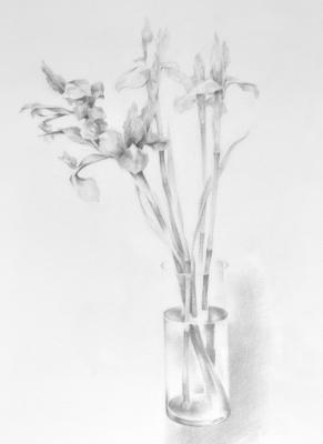 Irises. Fayvisovich Aleksandr