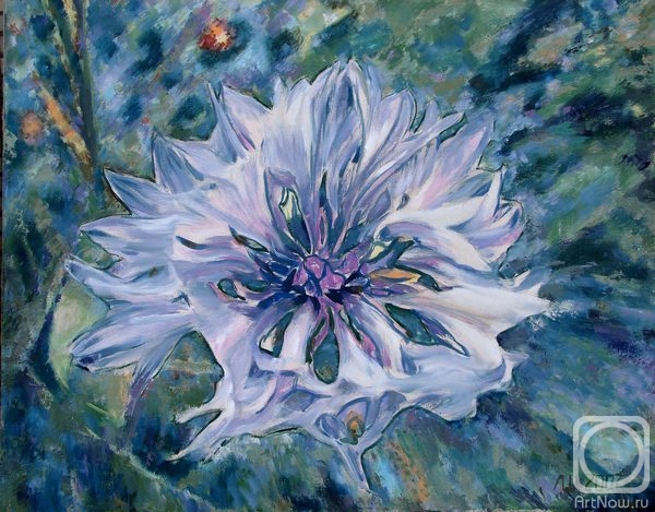 ������� ������ �� ������. ������ ������. � �����