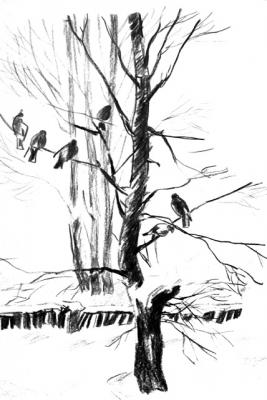 Collection of drawings 1-51/70