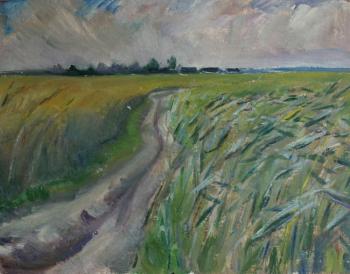 The road in a field. Klenov Valeriy