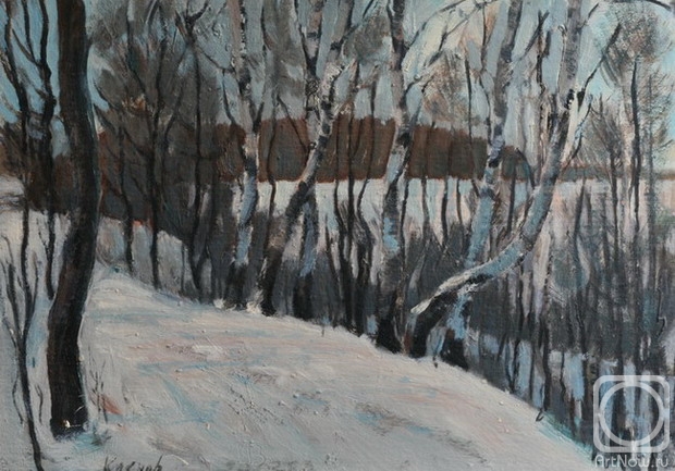Klenov Valeriy. Bitsa Park in winter