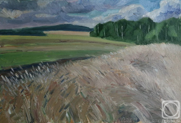 Klenov Valeriy. The summer field