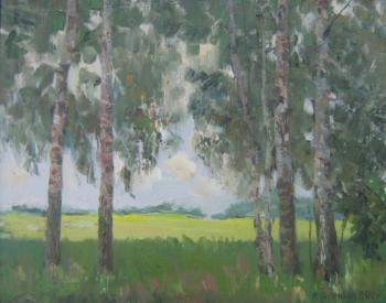 The edge of the forest. Birches. Chernyy Alexandr