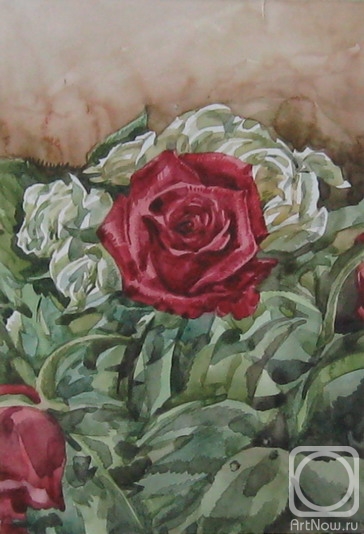 �������. ������� ������. ����