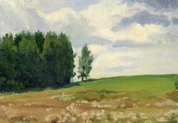 A landscape in the Vicinity of Davidkovo. Kostroma. Russia (etude)