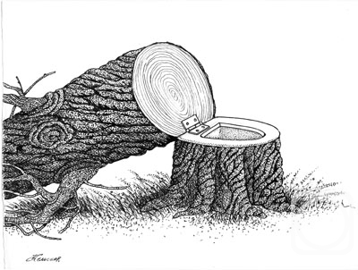 �������. ��������� ��������. ������ �����