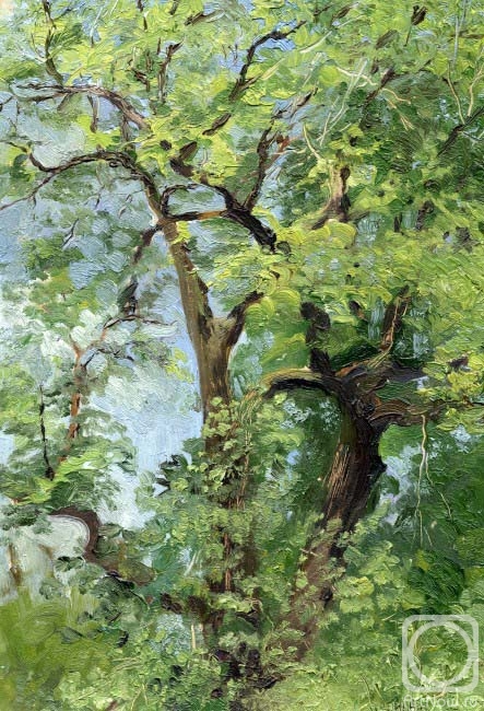 Chernov Denis. Green Tree (etude)