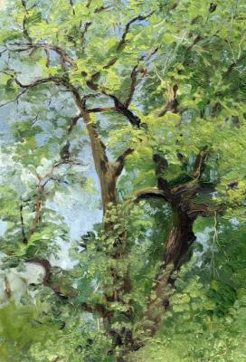 Green Tree (etude). Chernov Denis