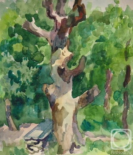 �������. ���� �����. ������ ������