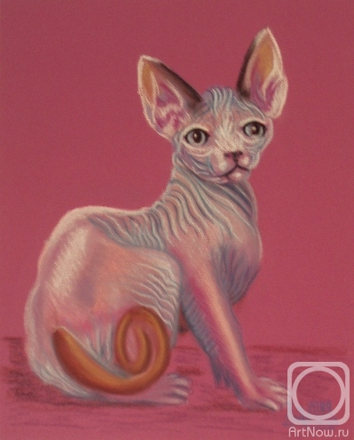 Lukaneva Larissa. Canadian Sphinx