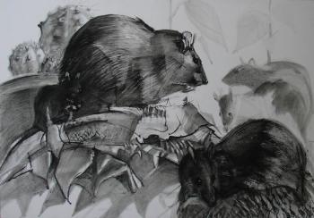 rats. Voronova Oksana