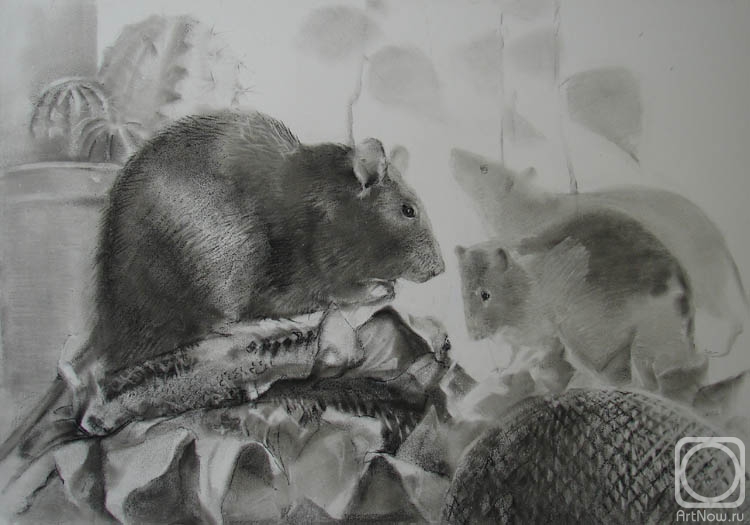 Voronova Oksana. rats